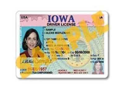 Fake Ids That Scan And Blacklight From China